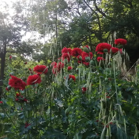 That's * Monchio (Modena)