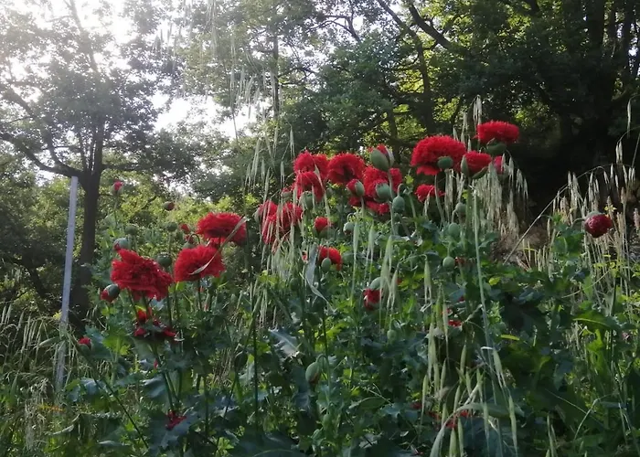 That's * Monchio (Modena)