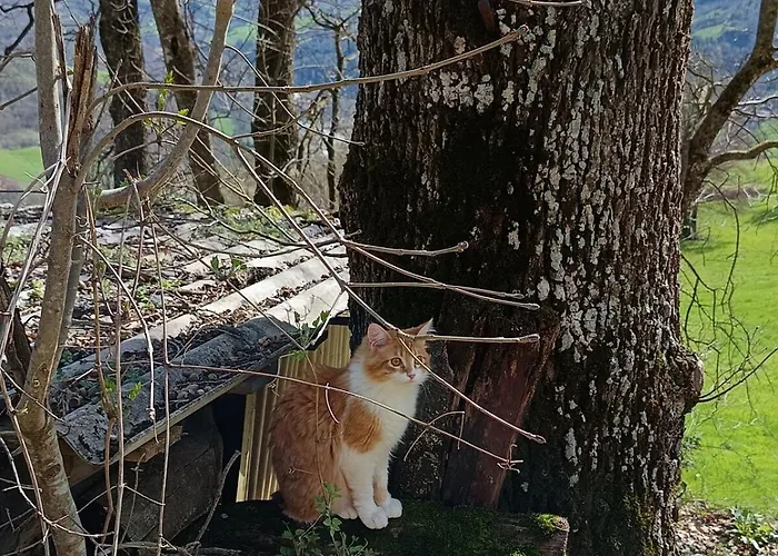 Villa That's Monchio (Modena)